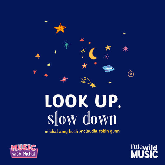 Look Up, Slow Down (Digital Single Download)