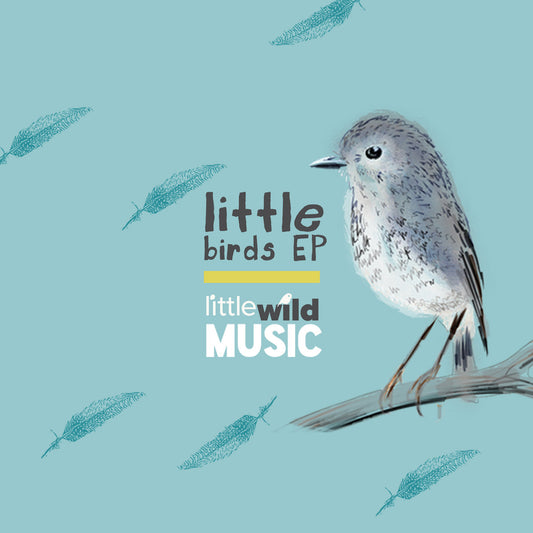 Little Birds EP Digital Single
